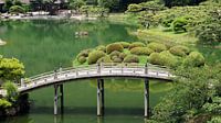 Japanse brug in Rutsurin Koen tuin in Japan von Aagje de Jong Miniaturansicht