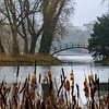 Voetgangersbrug in het Rivierenhof sur Christel Stevens
