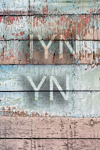 IYNYN