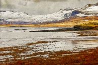 De IJslandse kust van Frans Blok - foto's, kunst en andere wanddecoratie thumbnail