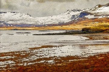 The Icelandic coast