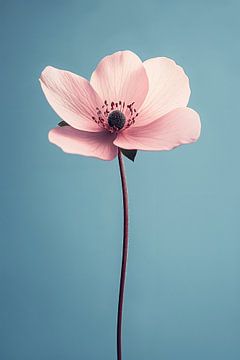 Roze Bloem in Blauw van Studio BB