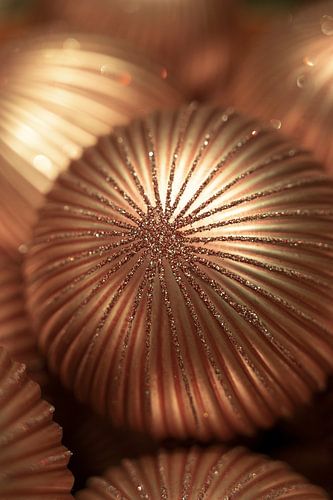 Boule d'or