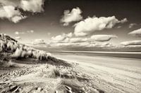 Ameland 