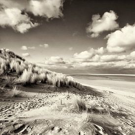 Ameland  by Andre Struik