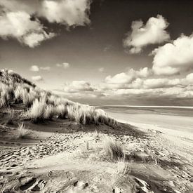 Ameland  von Andre Struik