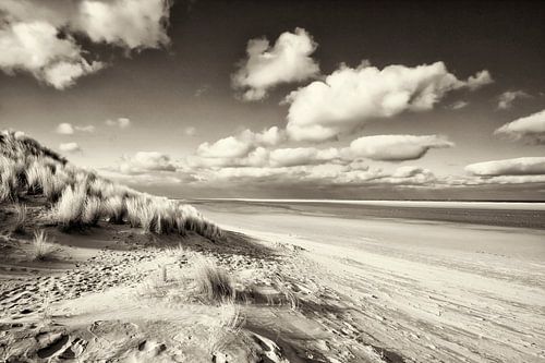 Ameland 