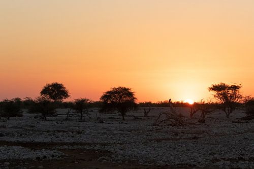 Sunset in Etosha National Park