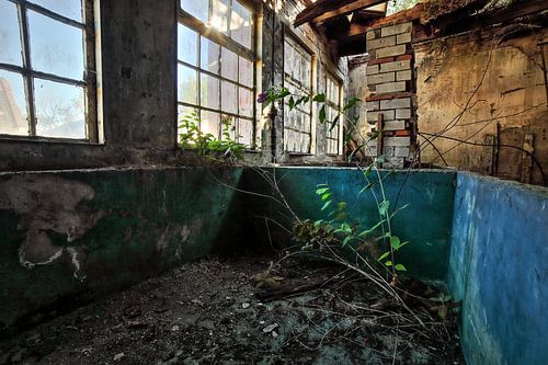 Urbex vervallen dakpannen fabriek