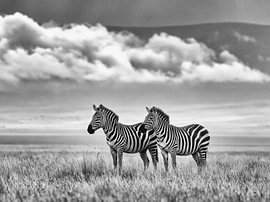 Schwarz-Weiß-Foto von Zebras in der Savanne von Lina van Oers
