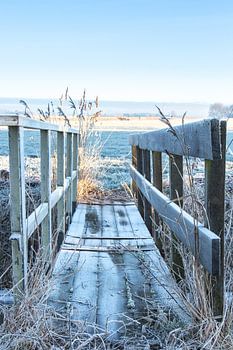 Un pont vers l'hiver