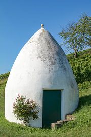 idyllische Rijnhessense wijnstreek van Peter Eckert