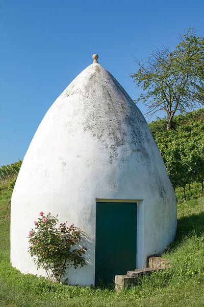 idyllic Rhinehessen wine region by Peter Eckert