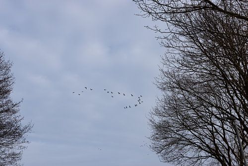 Een zonnige winterdag op de Ems
