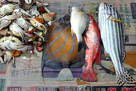 Vissen op krant by Annelies van der Vliet