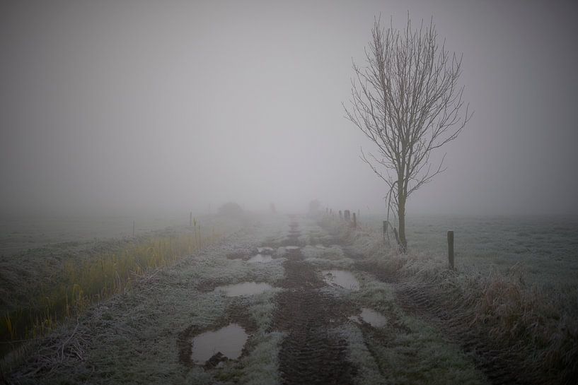 Mistig landschap met geheel eigen sfeer van Jenco van Zalk