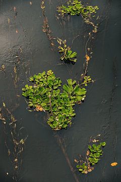 Stille von Jenny Kambeck