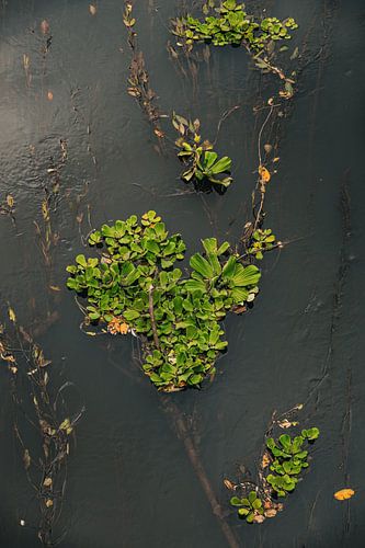 Silence by Jenny Kambeck