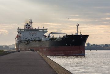Groot zeeschip en zonopkomst van af de pier Wijk aan Zee van scheepskijkerhavenfotografie