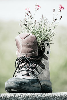 Bergschuh mit Pflanzen drin