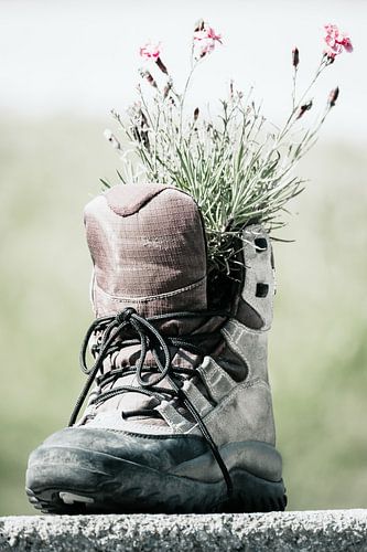 Bergschoen met plantjes er in