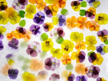 Violets mix in ice cream