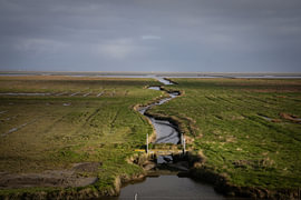 Slenk, dans une zone de marais salants sur la côte des Wadden, dans le nord de la province de Groningue sur Bo Scheeringa Photography