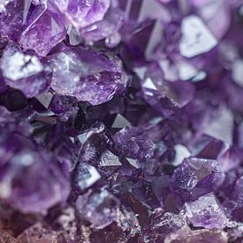 Amethyst by Stefanie de Boer