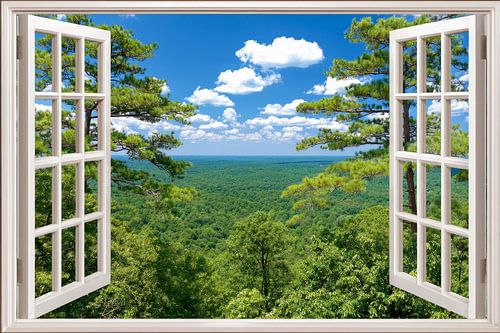 prachtig uitzicht op het groene landschap