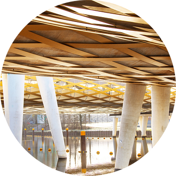 Spoorbrug over de Dieze II van Willy Sengers