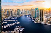Dubai Marina by Dieter Meyrl thumbnail