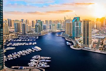 Dubai Marina by Dieter Meyrl