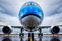 Symmetry Boeing 787-9 Style