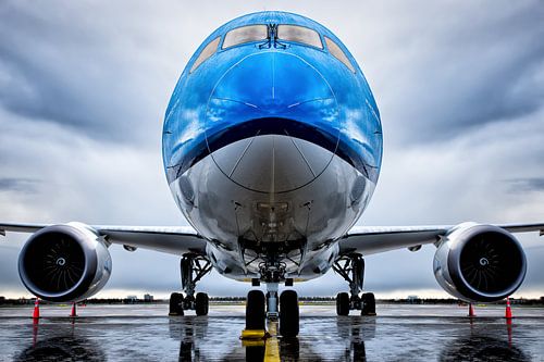 Symmetrie Boeing 787-9 Stil