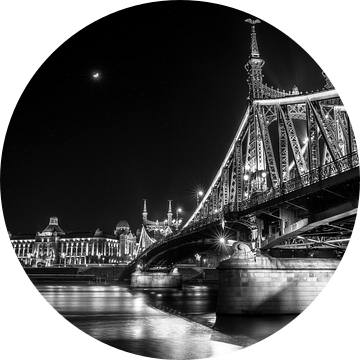 Vrijheidsbrug Boedapest van Martijn van Steenbergen