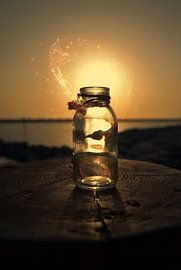 Lighting by Zwergls Lichtermeer