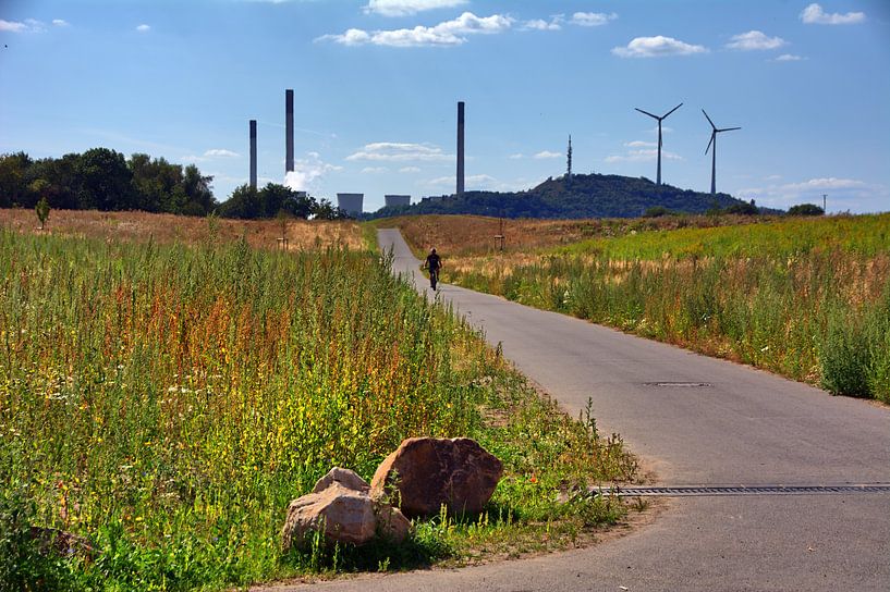 Vélo par Edgar Schermaul
