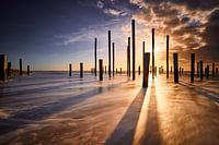 Palendorp Petten