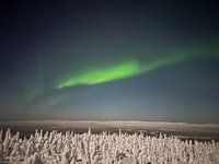 Northern lights in darkness