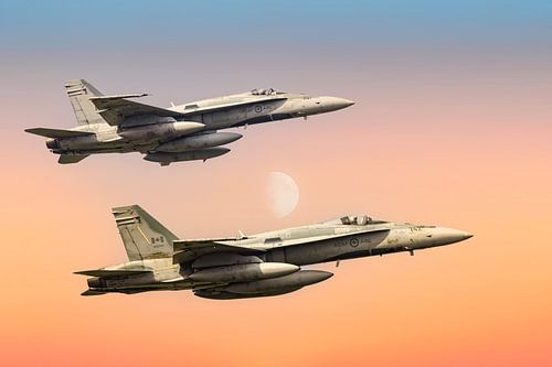 McDonnell Douglas CF-18 Hornet