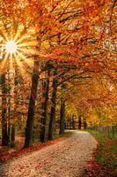 Herfst in Achterhoek