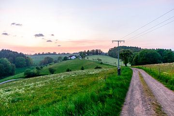 Zomer fietstocht door het Schmalkalden platteland naar Werratal bij Fambach - Thüringen - Duitsland van Oliver Hlavaty