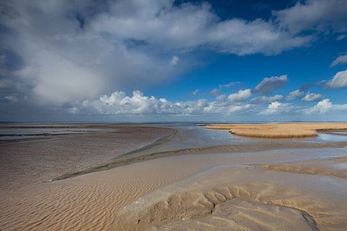 Slikken bij Nieuwe Statenzijl