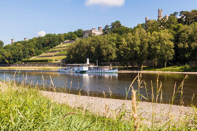 Paddle steamer on Elbe River in Dresden by Werner Dieterich