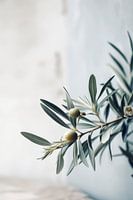 Olives