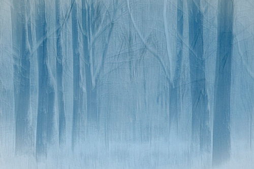 2 Symphony of Silence (Breathing Space)