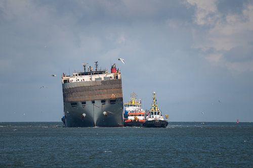 Disaster ship Fremantle Highway