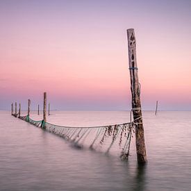 Fishing poles in the Markermeer by Gijs Rijsdijk