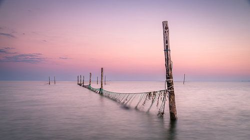 Fishing poles in the Markermeer