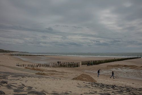 littoral de Zoutelande sur anne droogsma